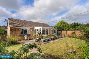 Garden- click for photo gallery